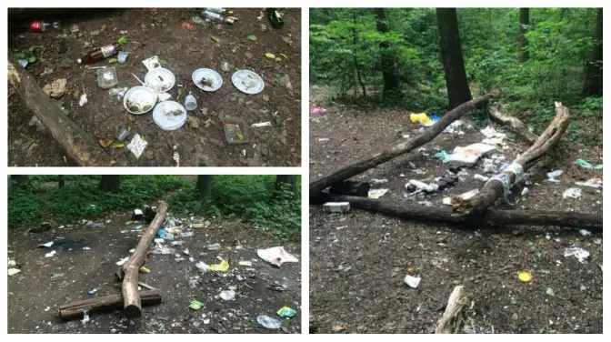 Купи сміття у парках Львова: як реагувати та як карати винуватців?