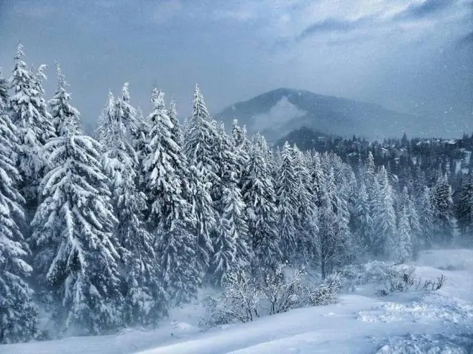 Фото із відеокамер