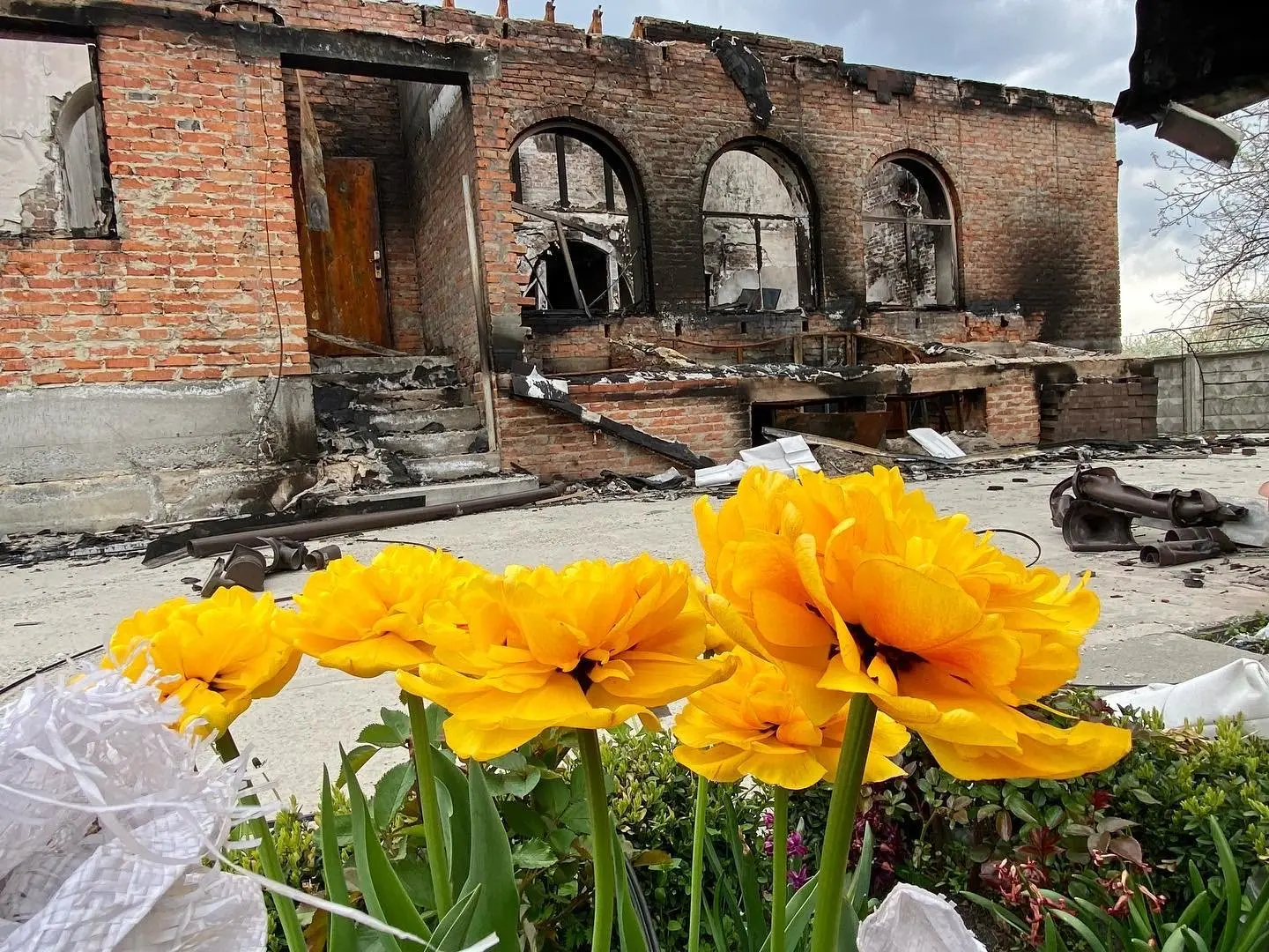 «Україна знову має годувати світ». Що може змінитися для нашої держави у червні