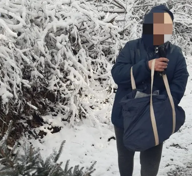 Поліція затримала жінку, яка зрізала ялинку у Снопківському парку
