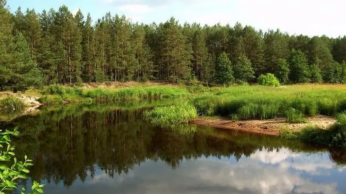 На Львівщині хочуть створити новий заповідник