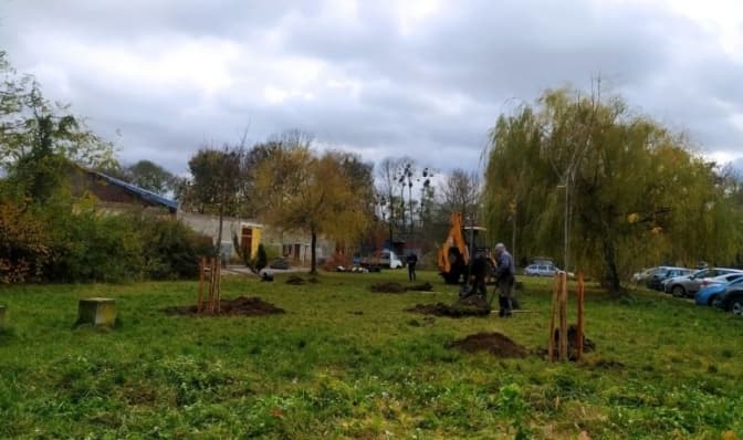 У Львові посадили ще 48 дерев. Які і де