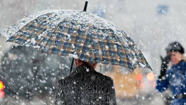 Фото: portal.lviv.ua