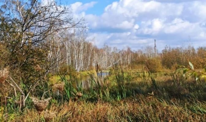 Землю біля «Білогорщі» повернули громаді Львова