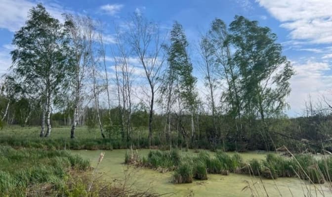 фото умовне