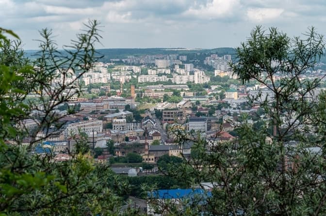 «Львову потрібна схема захисту дерев», – французький архітектор про вирубку дерев у місті