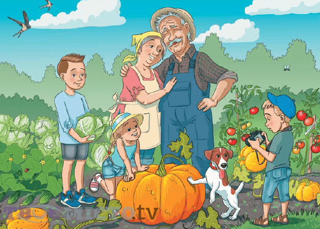 Мама у фартушку, дідусь із пасікою. Як виглядає типова родина в цьогорічних букварях