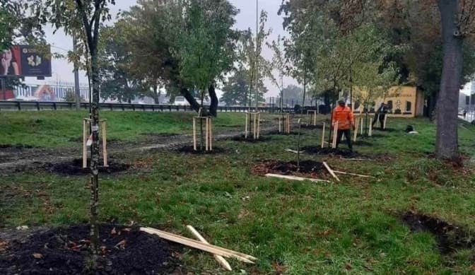 У Голосіївському районі Києва висадили 170 нових дерев у межах осіннього озеленення