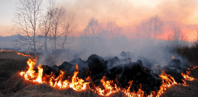 фото умовне