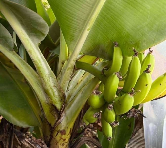 фото: Львів. Містобудування