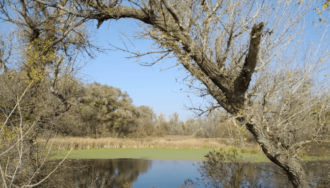 Забудовники хочуть знищити унікальний природний об'єкт Києва. ДОПОВНЕНО