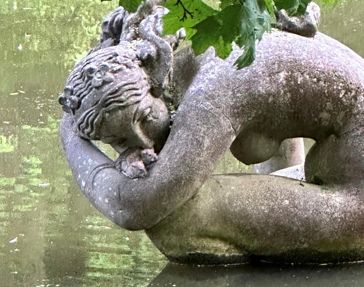 Мешканець Львівщини загинув після ймовірного контакту з гризунами