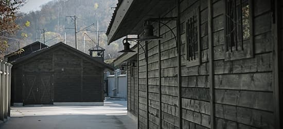 Львів’ян запрошують на відкриття виставки про історію Янівського концтабору