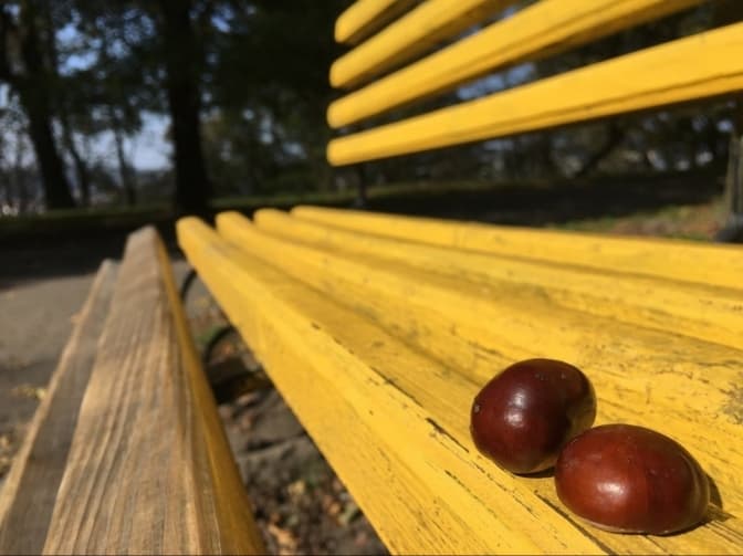 Запуск центру обслуговування пасажирів та реалії Covid-відділення лікарні у Львові. Головне за добу