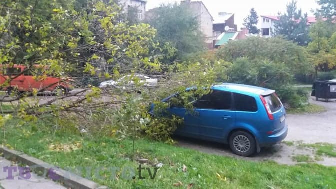 Львовом пронеслася сильна буря. Наслідки, фото