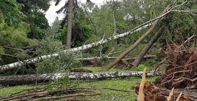 Львів’ян просять утриматися від прогулянок парками через можливе падіння гілок