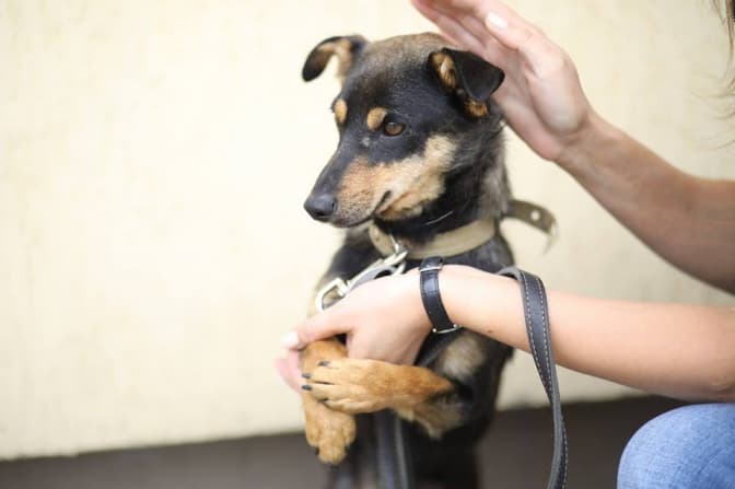 фото: Марта Сирко