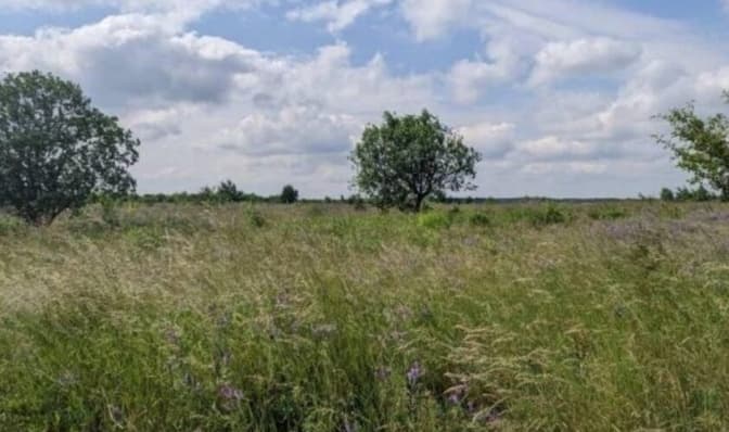 У Львівській громаді буде п'ять екокоридорів