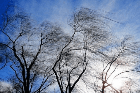 У Львові та області – штормове попередження