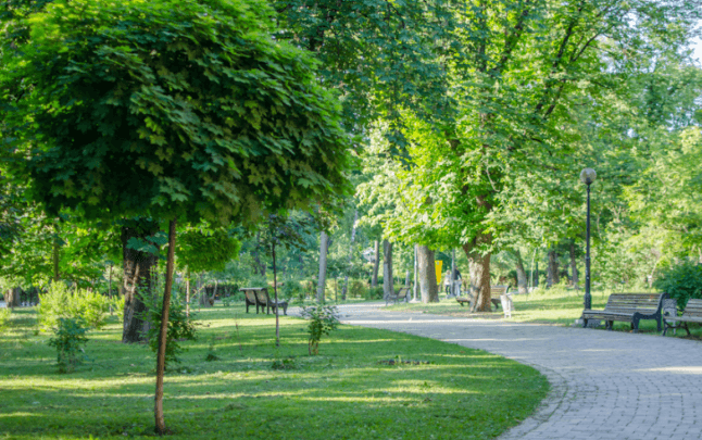 У Києві на Борщагівці проведуть роботи з облаштування скверу