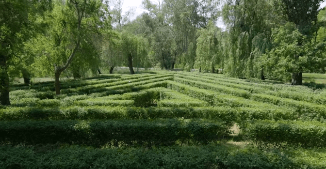 У Києві відкрили артлокацію-лабіринт «Шлях до безпеки», присвячену переселенцям