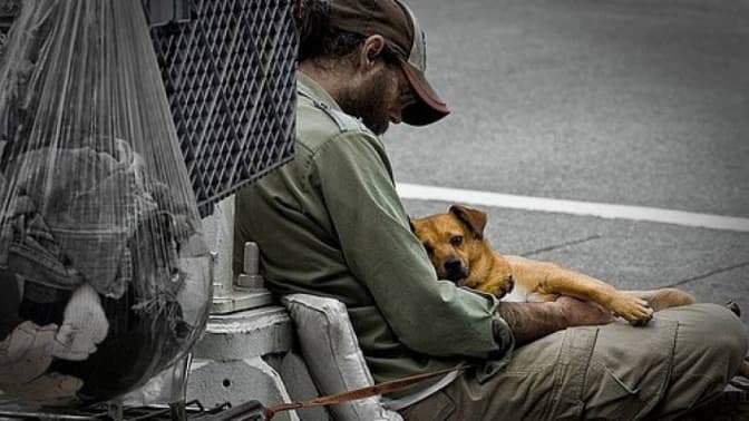 фото: varianty.net