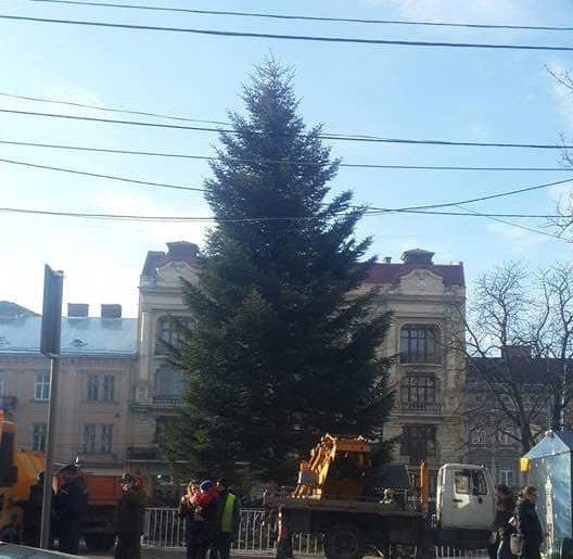 Коли у Львові відкриють ялинку: програма