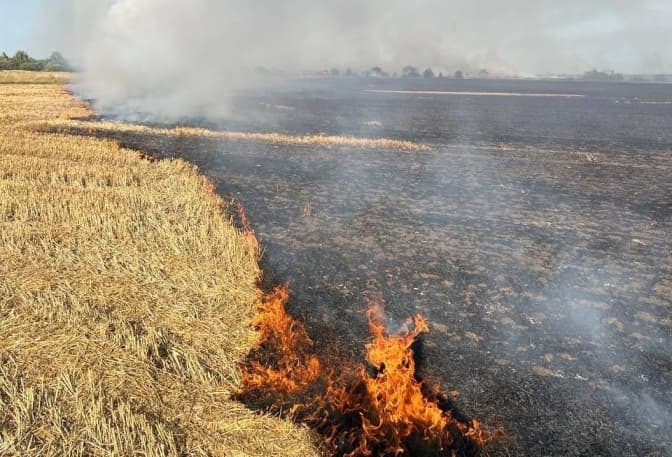 На Львівщині за два дні згоріли 5,8 гектарів полів