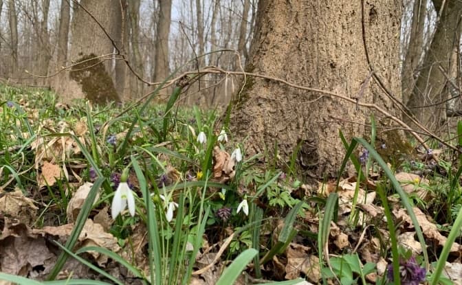 Фото: Вечірній Київ