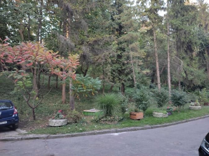 Поблизу центру Львова планують облаштувати новий сквер