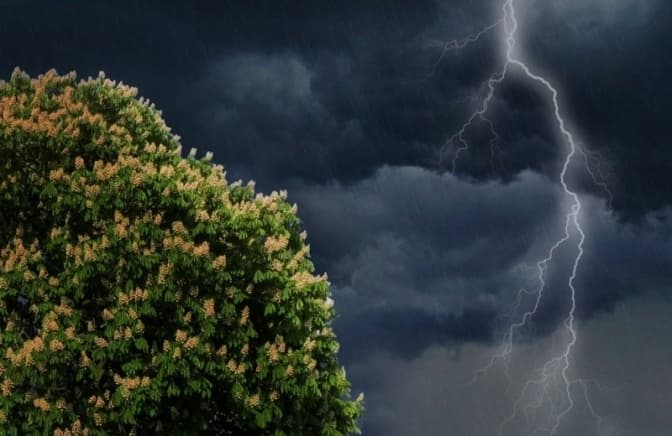 Завтра у Києві очікують грозу