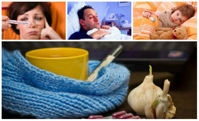 Фото: berdichev.biz, ehokor.com.ua, vkurse.ua, likuvania.com