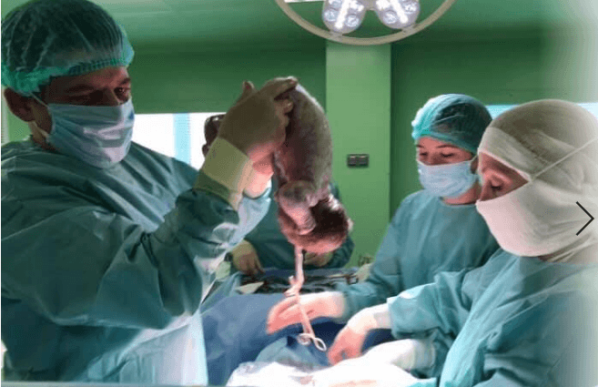 фото: Львівський перинатальний центр