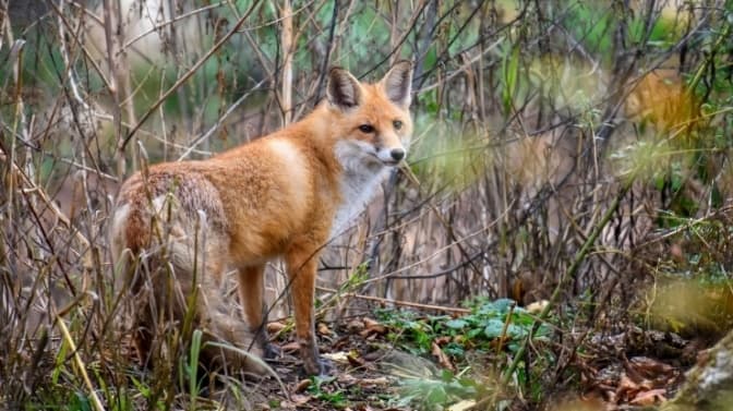 Фото умовне