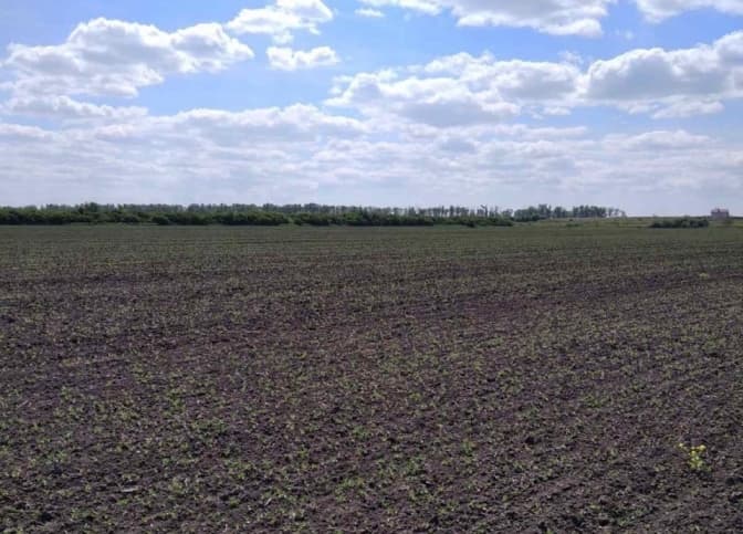 Збитки від захоплених ділянок у Львівській громаді перевищили мільйон гривень