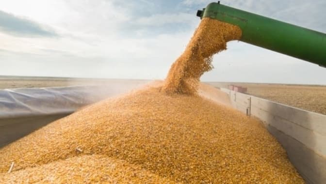 Якими можуть бути наслідки розірвання «зернової угоди» для України та світу