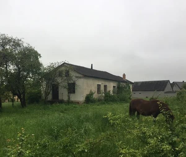 Закинутий комплекс будівель на Львівщині продали за понад мільйон гривень