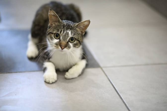 Фото умовне
