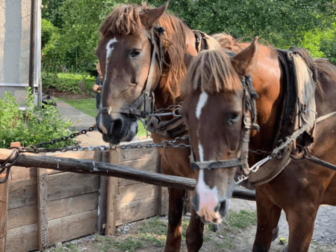 Фото умовне