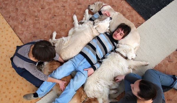 фото: www.stena.ee