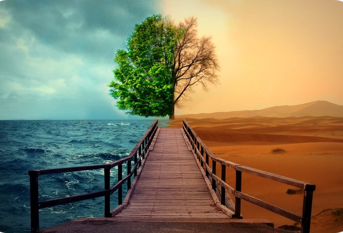 Фото: janjansen.guru