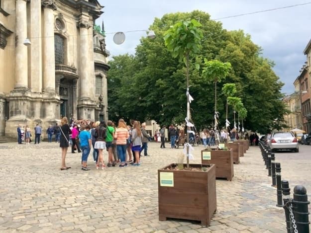 У Львові навчатимуть, як правильно доглядати за деревами