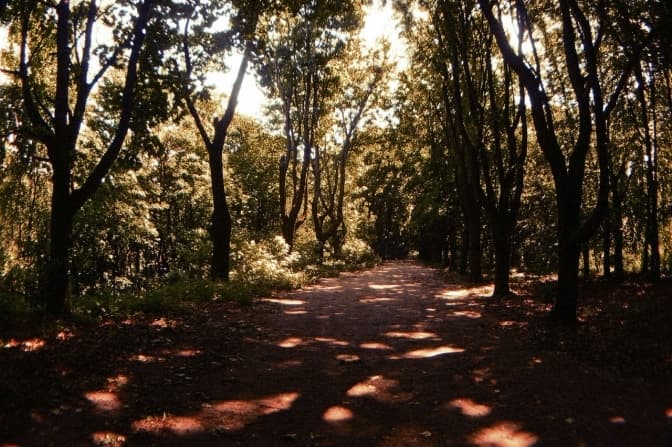 фото: вікіпедія