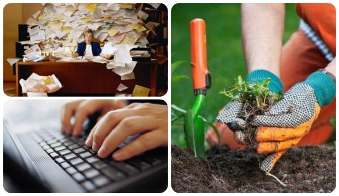 Топ-10 привабливих робітничих професій серед українців. Інфографіка