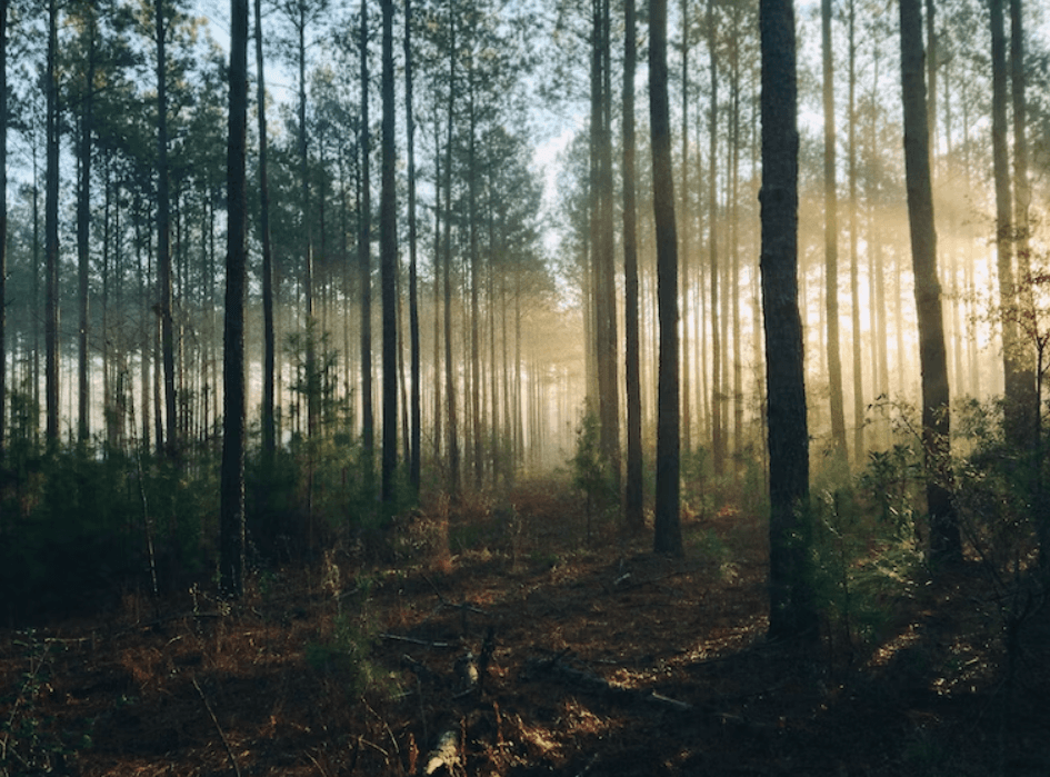 Умовне фото / Unsplash