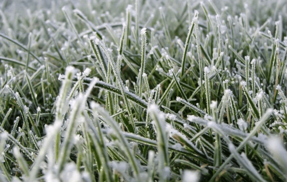 Киян попереджають про заморозки