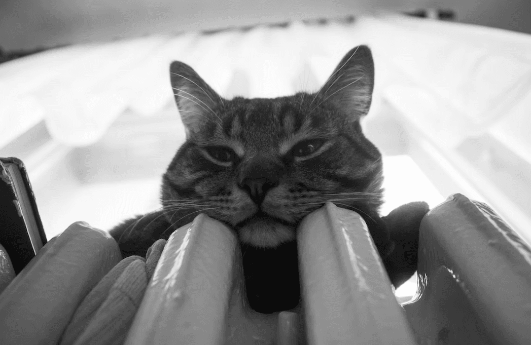 Кличко сказав, коли у Києві почнуть опалювальний сезон