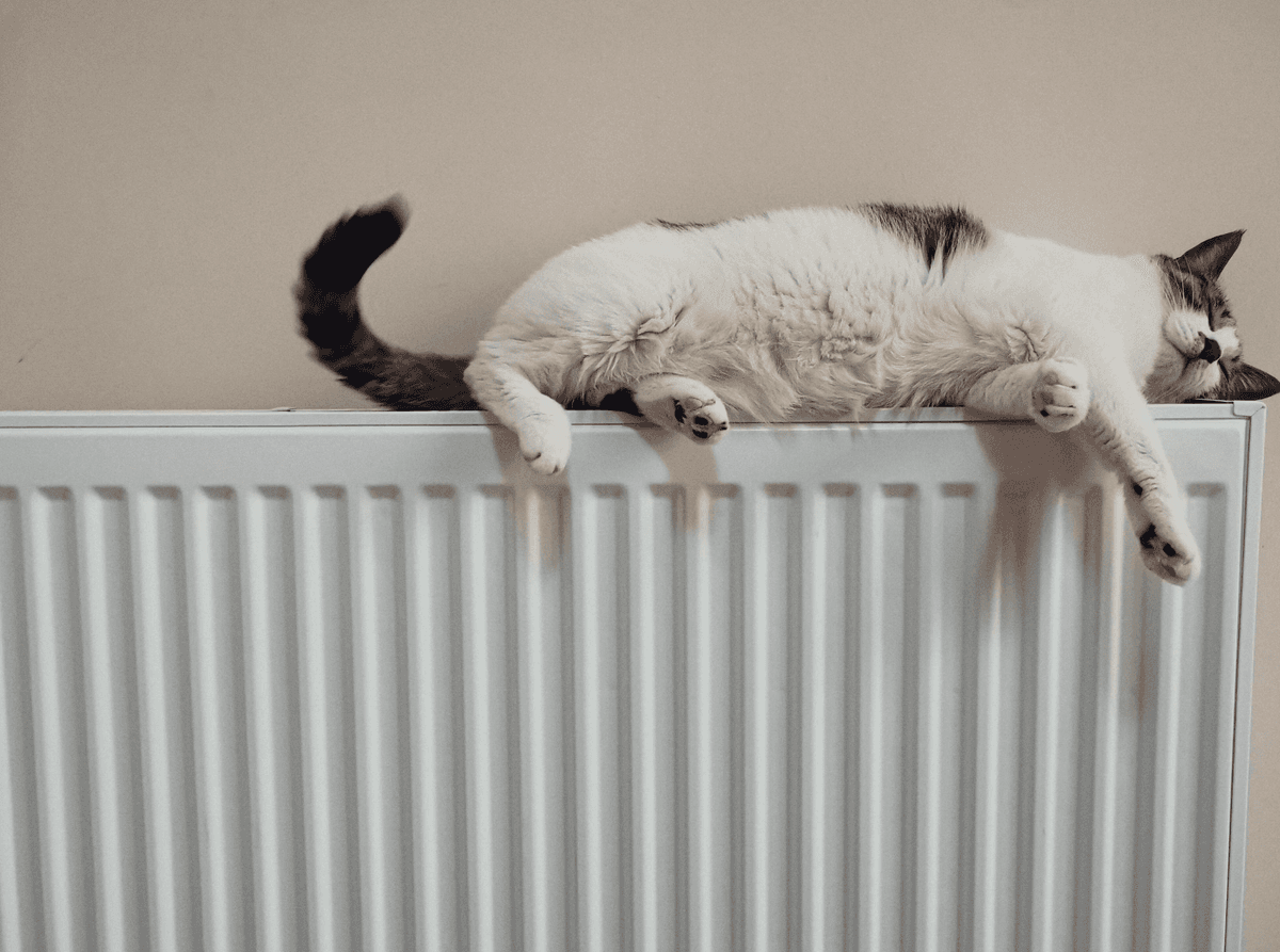 Ми допоможемо енергосистемі, якщо всі одночасно не вмикатимуть чайники, праски