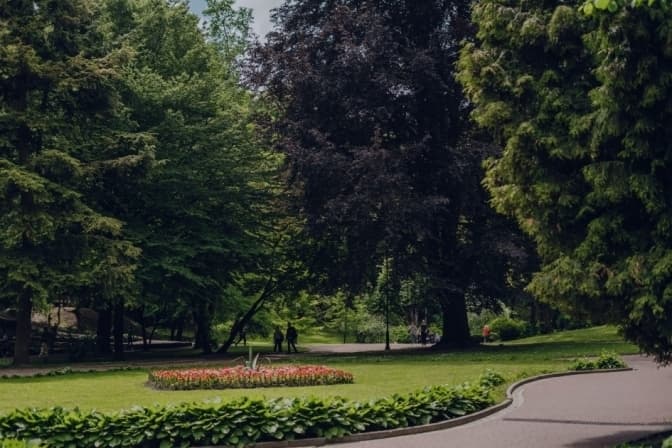 Краще утриматись: львів’ян закликають не відвідувати парки з понеділка