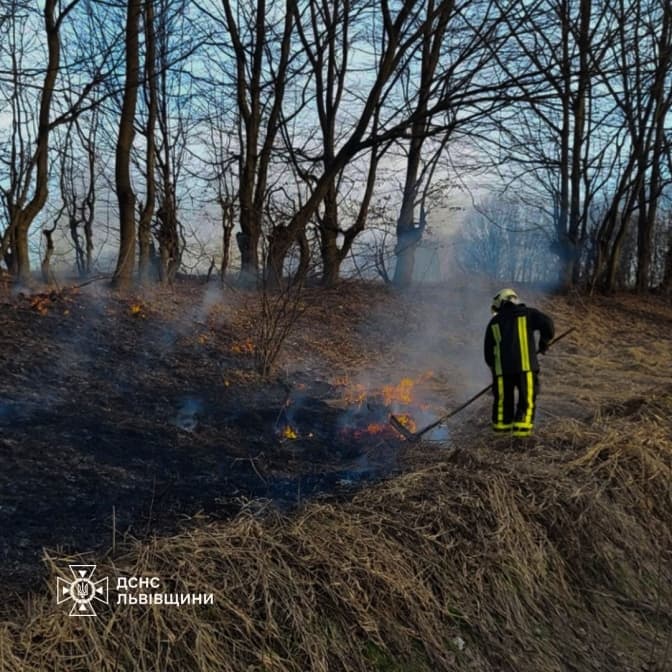 На Львівщині вогонь знищив понад 2700 кв. м сухостою